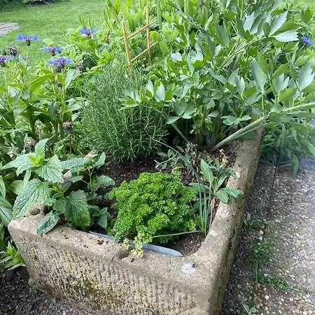 Casa de Férias Haus Sengbach Im Bergischen Land Mit 2 Schlafzimmern