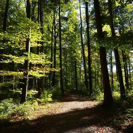 Casa de Férias Haus Sengbach Im Bergischen Land Mit 2 Schlafzimmern *