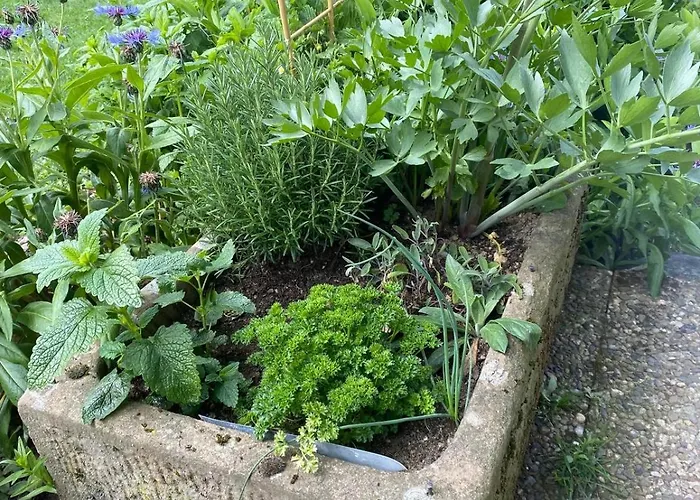 Casa vacanze Haus Sengbach Im Bergischen Land Mit 2 Schlafzimmern