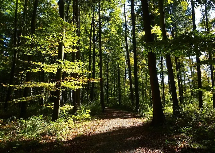 Casa vacanze Haus Sengbach Im Bergischen Land Mit 2 Schlafzimmern *